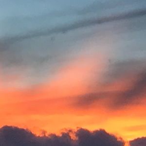 Meet your Posher, Angelica